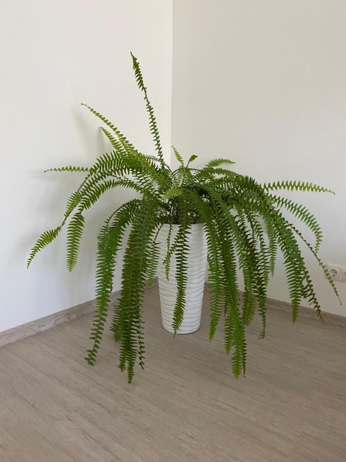 Centra Apartamenti Alūksne Esterno foto